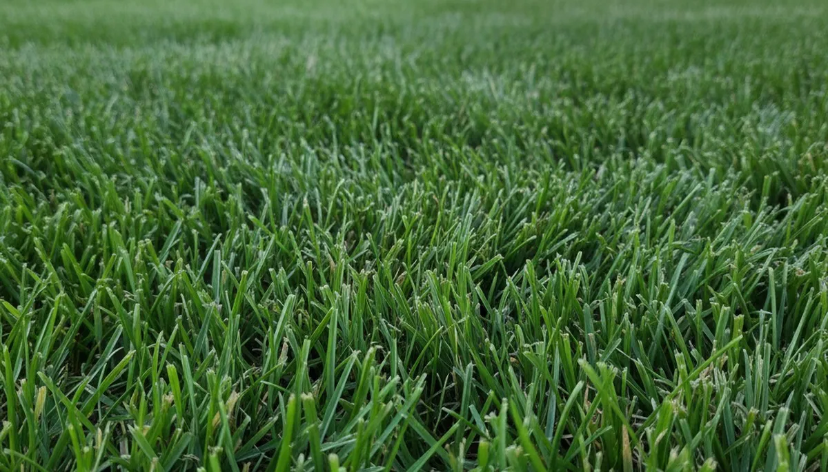 Close-up of freshly cut green grass showing expert lawn mowing quality by landscapers in Lancaster, PA